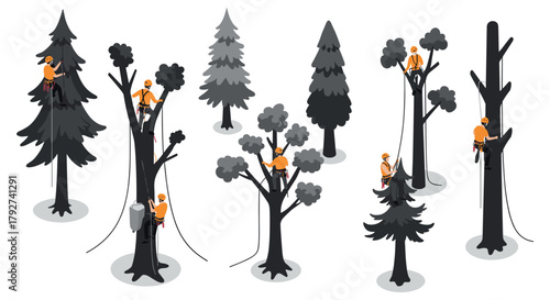 Isometric arborists climbing trees for maintenance and safety