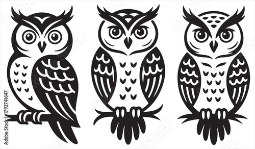 Black and white owl illustrations featuring perched and frontal views