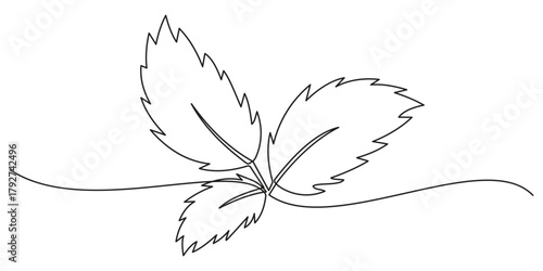 A minimalist continuous single line drawing of a fresh mint sprig with leaves, isolated on a white background.