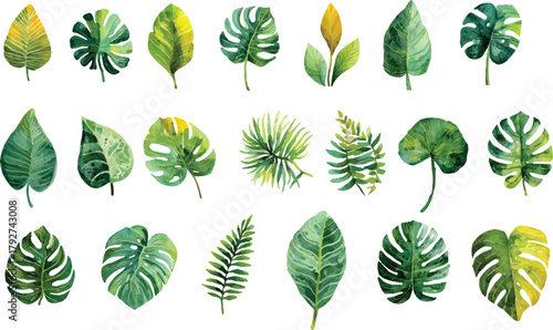 collection of green leaves