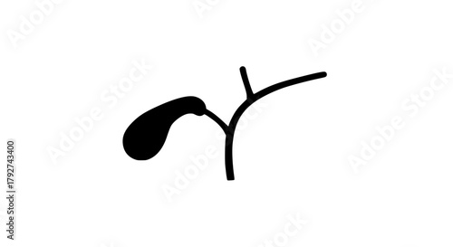 Human gallbladder diagram black white icon 