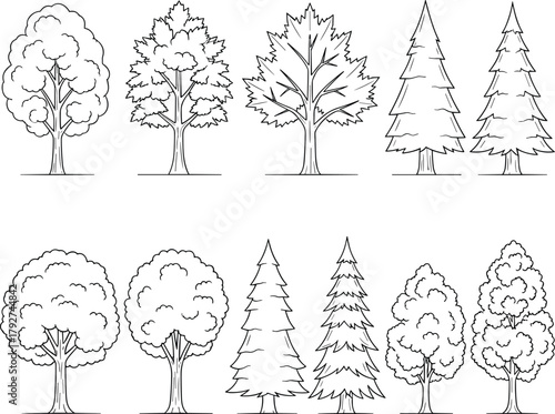 Tree silhouette icon set, mixed foliage vector, conifer and broadleaf design, black nature illustration, forest shape graphic, educational tree form collection