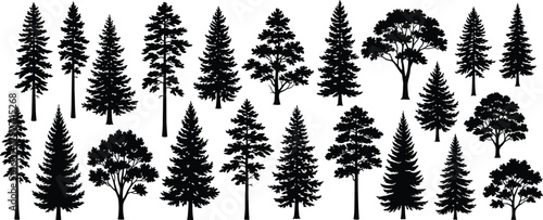 Tree silhouette set, diverse foliage styles, conifer and deciduous types, botanical vector illustration, forest design elements, black trees on white background, minimal nature concept
