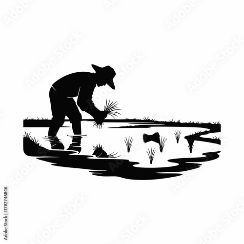 silhouette of a farmer planting rice seedlings in a rice field
