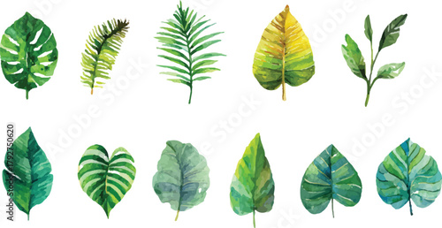 collection of green leaves