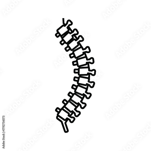 Curved spine illustration