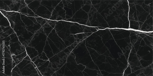 Black and white photo of dead tree branches with a dark, grunge, and natural pattern texture surface backdrop