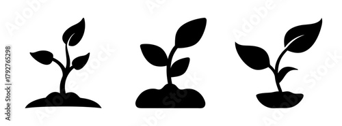 Black silhouette of plants growing in soil vector illustration gardening and agriculture concept