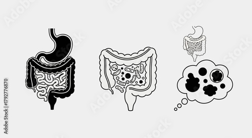Human Digestive System Anatomy Icons Black and White Illustration Set