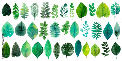 Watercolor botanical leaves collection displaying various green foliage designs