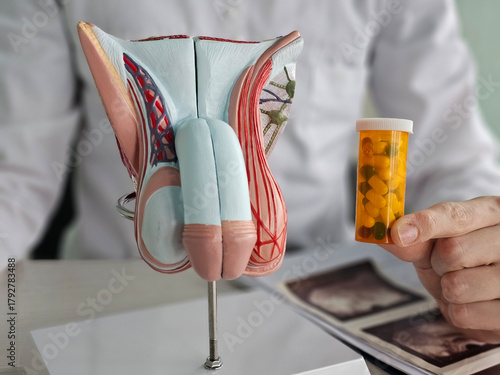 Bild auf Leinwand Doctor diagnoses male erectile dysfunction and gives recommendations for treating men health problems