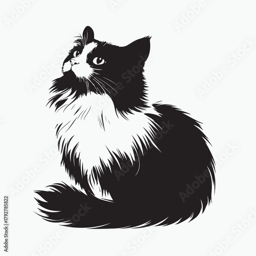 black and white cat vector