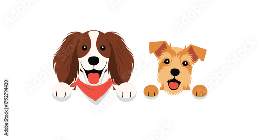 Two cute happy dogs peeking over a white surface with their paws visible.