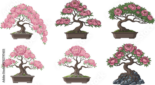 Beautiful pink bonsai peony tree collection, blooming flowers, decorative miniature plants, Japanese art