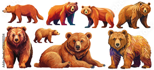 熊ベクターイラストセット