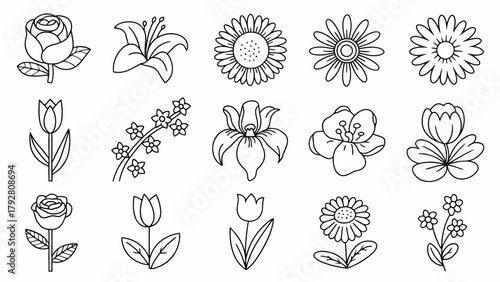 Delicate floral illustrations in outline style ideal for coloring books or graphic design projects promoting nature beauty and creativity