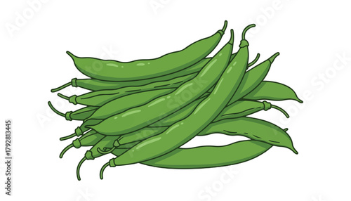 Fresh beans. Young green beans. Ingredients for various dishes. Cartoonish style. Vector illustration for design and decor.
