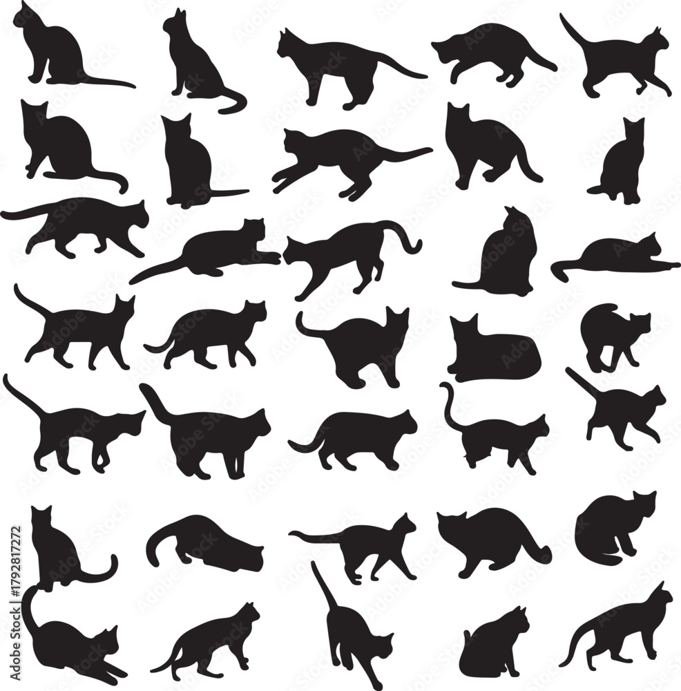 Fototapeta premium Diverse Cat Breeds and Feline Animal Silhouette Collection