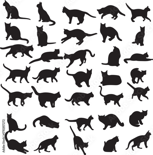 Diverse Cat Breeds and Feline Animal Silhouette Collection