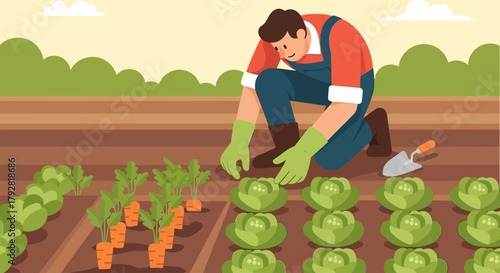 A clean flat design illustration features a man diligently tending to his vegetable garden, inspecting rows of fresh produce. This vector art highlights the rewarding aspects of home gardening.