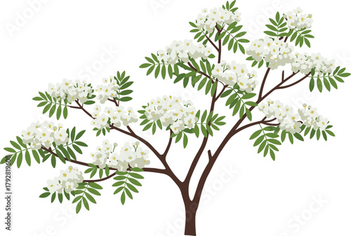Beautiful white flowering tree branch with green leaves, nature bloom, spring season, fresh floral design