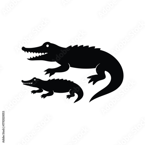 crocodile isolated on white background