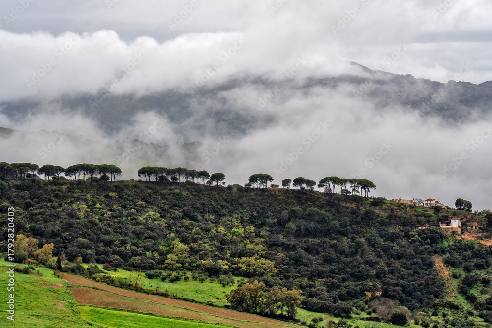 Fototapeta premium Ronda, Spain. View of the valley from the historic bridge. Andalusia. Travel and tourism beautiful cities of Spain