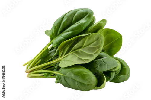 fresh spinach leaves ready for cooking . Isolated on transparent background, png