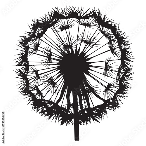Black Silhouette of a Dandelion Seed Head
