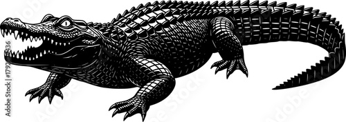 Silhouette of a powerful and mysterious alligator against a clean white backdrop vector illustration
