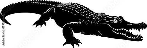 Silhouette of a powerful and mysterious alligator against a clean white backdrop vector illustration
