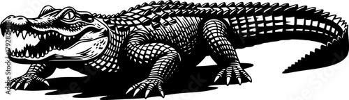 Silhouette of a powerful and mysterious alligator against a clean white backdrop vector illustration
