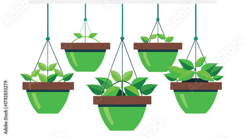 Vector icon of hanging planters with green leaves realistic urban gardening style on white background.