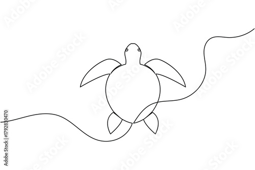 Photography Sea turtle single line art aquatic animal concept design