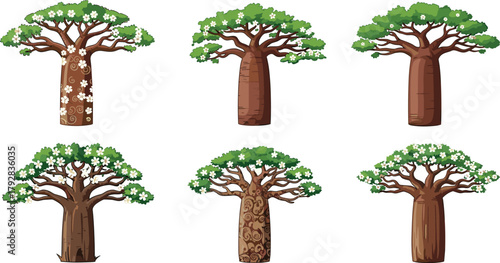 Collection of cartoon baobab trees with green leaves and white flowers, isolated, editable vector, tropical nature