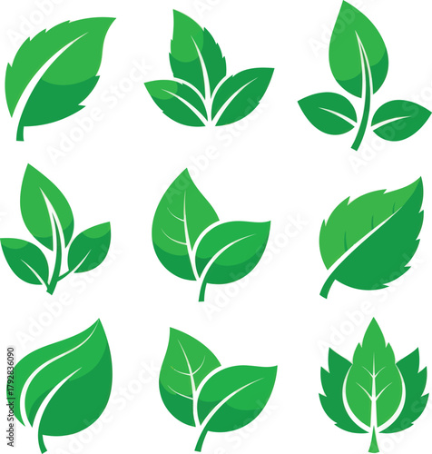 Vibrant green leaf illustrations for eco-friendly designs, nature-inspired projects, and sustainable branding concepts that evoke freshness and growth