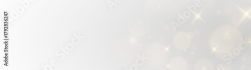 Sparkling metallic foil dust rising through soft smoke trails with glowing light particles and nature-inspired colours forming a detailed celebration overlay illustration