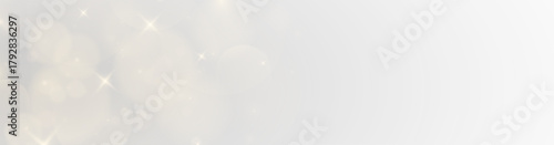 Sparkling metallic foil dust rising through soft smoke trails with glowing light particles and nature-inspired colours forming a detailed celebration overlay illustration