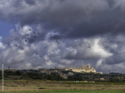 Wallpaper Mural Silhouette of Pigeons flying in a stormy sky over Mdina, Western District, Malta Torontodigital.ca