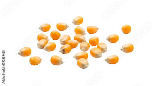 Pile of Yellow Corn Kernels on Black Background Close Up Still Life