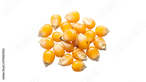 Pile of Golden Yellow Corn Kernels on Transparent Background Food Photography Studio Shot