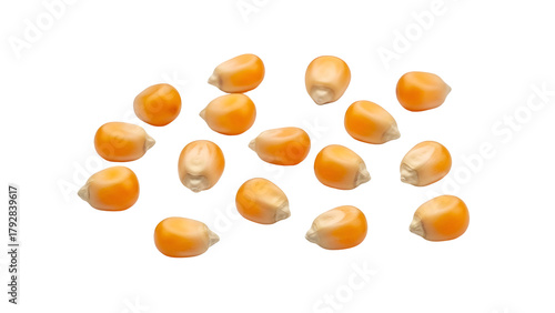 Scattered Golden Corn Kernels on Transparent Background Still Life Detailed Close Up Macro Shot Harvest Time Agriculture Concepts Food Photography