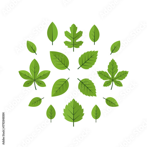Vibrant green leaves arranged in a circular pattern, showcasing diverse shapes and intricate vein details for natural beauty and ecological themes