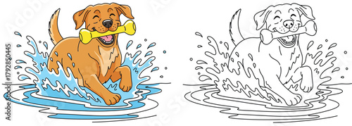 Playful Labrador Retriever splashing in water with bone cartoon illustration and matching  coloring page for kids