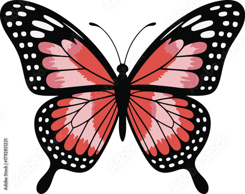 Beautiful watercolor butterfly with pink and black wings