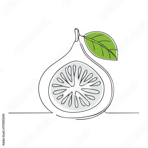 Minimalist continuous line art drawing of a fig fruit cut in half with a green leaf botanical illustration