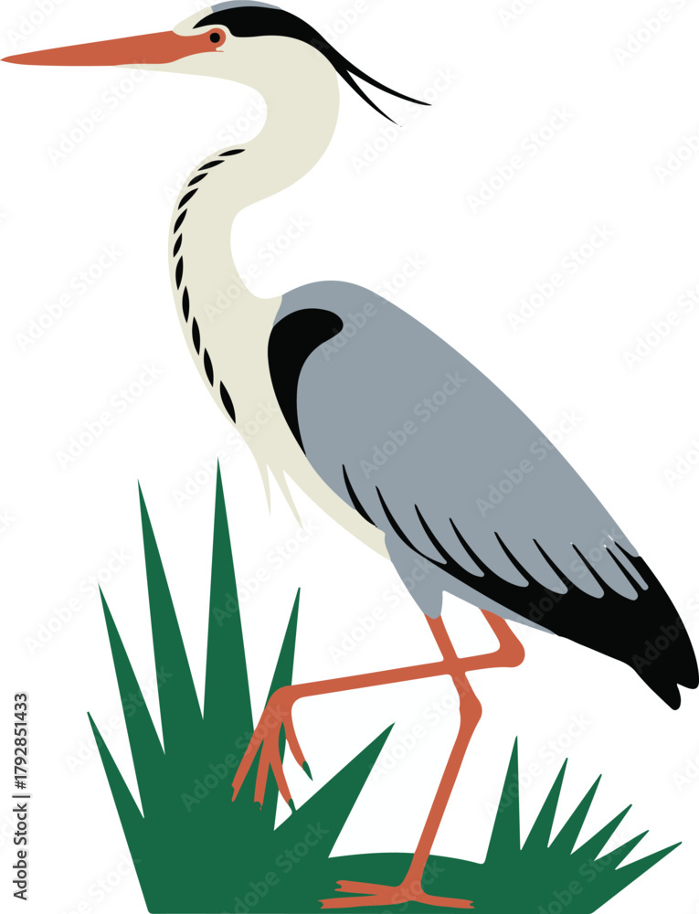 Fototapeta premium Stylized illustration of a grey heron standing in green grass