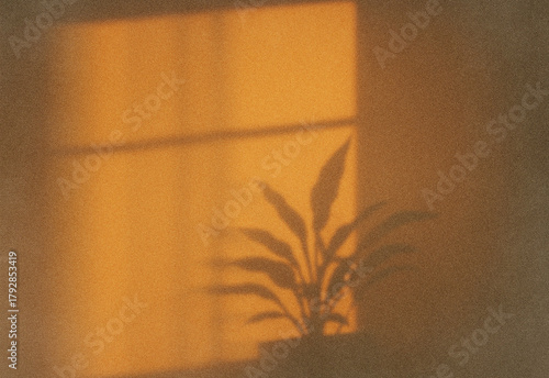 Canvas Print Golden hour indoor plant silhouette by a sunlit window, warm amber glow, grainy