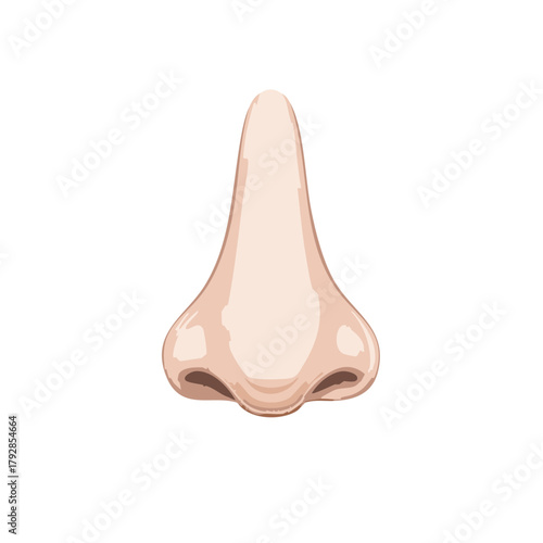 Close-up illustration of a human nose with nostrils and skin texture