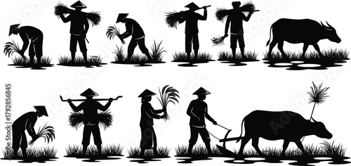 Rice farming silhouettes, traditional agriculture, farmers working, harvesting rice, planting field, water buffalo, rural labor, Asian culture, agricultural vector, farming illustration